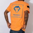glitch-monkey-back-302619.jpg