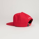 make-india-great-again-003-ums0053-r-775206.jpg