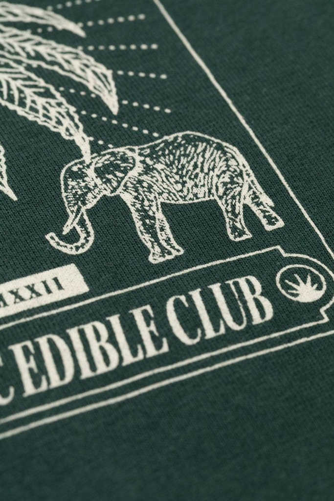 Brownie_Receipe_Green_Oversized_Tshirt_07.jpg