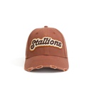 stallions-by-bhaukal-25dcksd004or-3117958.jpg